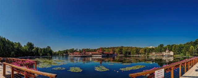 Maďarsko-Hévíz-termální jezero.jpg