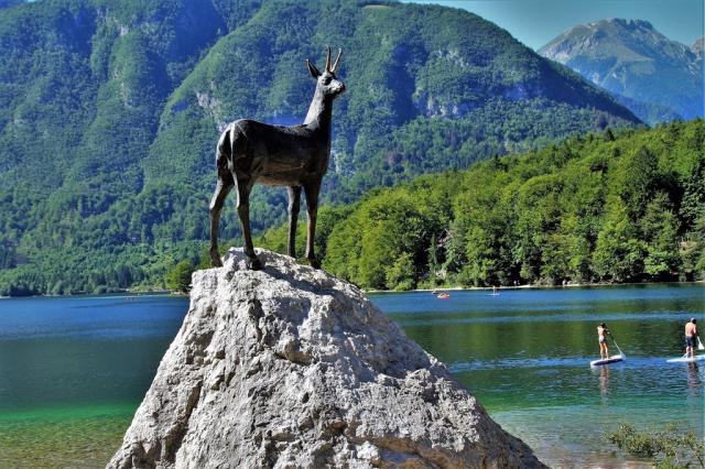 bohinj-gfa3cbf927_1920.jpg