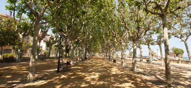 Calella promenada.jpg
