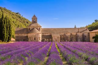 PROVENCE a levandulové korzo