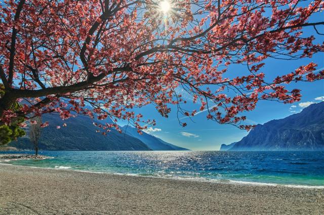shutterstock_1942022662-2.jpg