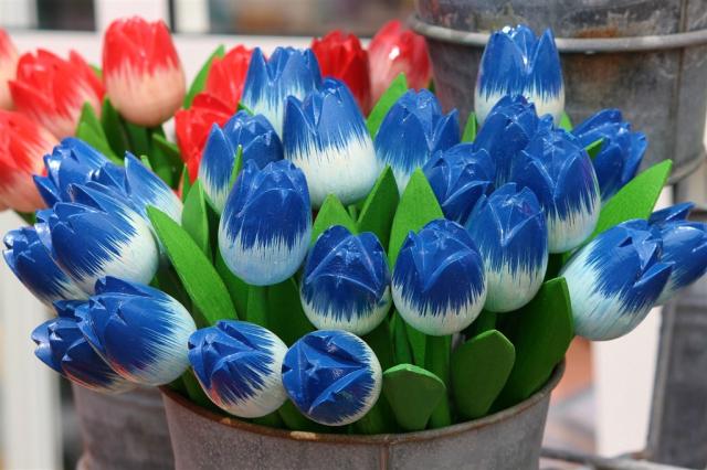 tulips-3516638_1920.jpg