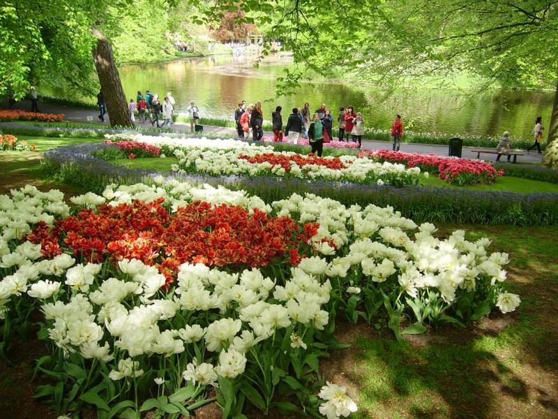 Květinové korzo - Keukenhof a Amsterdam