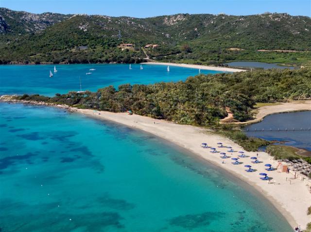 3a_Lepre_spiaggia_A_RGB.jpg