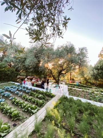 2 VEGETABLE GARDEN DINNER.jpg