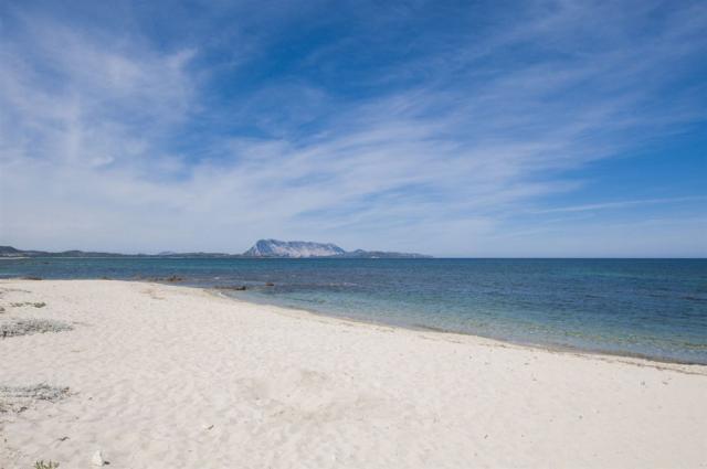 APPRODO VERDE_pláže v San Teodoru .jpg