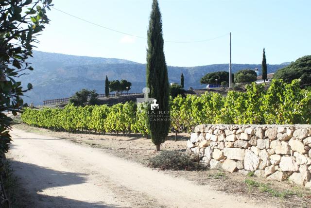 hotel-calagonone-nuraghe-arvu-gallery53.jpg