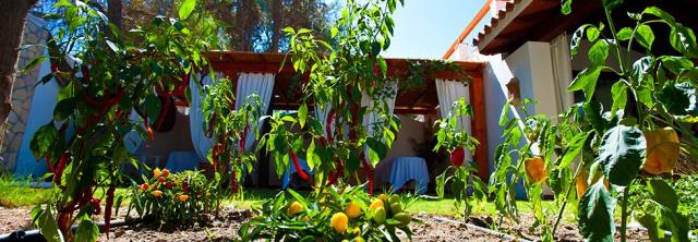 nora-club-hotel_giardino_aromatico.jpg
