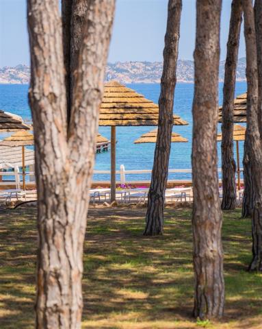 SPIAGGIA 01.jpg