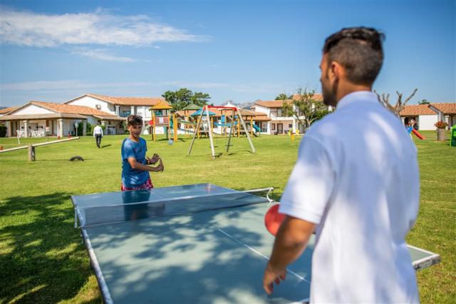 pingpong.jpg