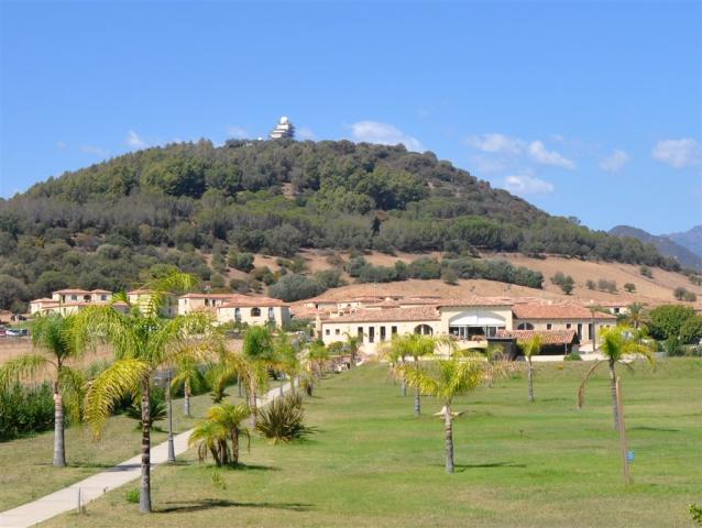 vista monte.jpg