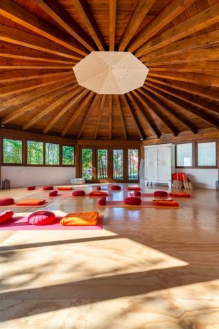Shala Yoga.jpg