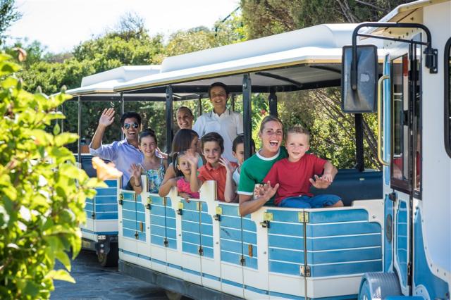 Chia Laguna_Kids_Train1.jpg