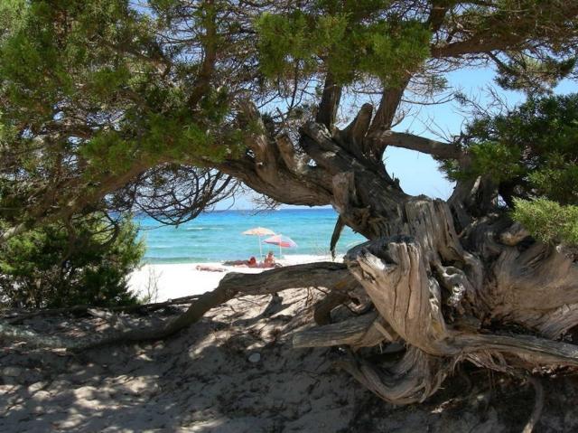 Iss Travel Bouganvillage Spiaggia 7.jpg