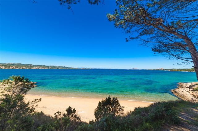 Cala dei ginepri.jpeg