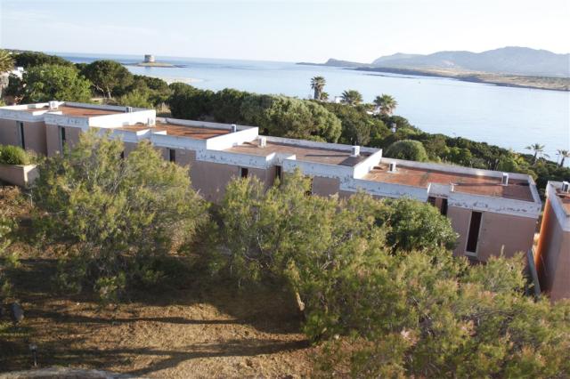 Zona Garden 2.JPG