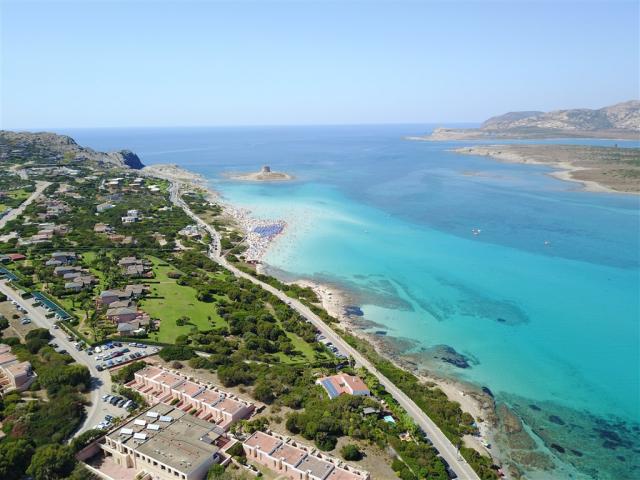 Gabbiano - Concessione privata - La Pelosa.JPG