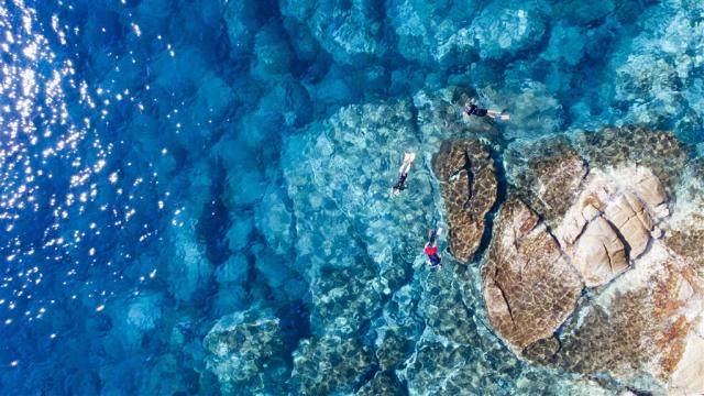 SSP_snorkeling_02.jpg