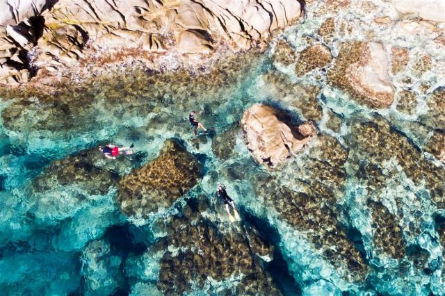 SSP_snorkeling_03.jpg