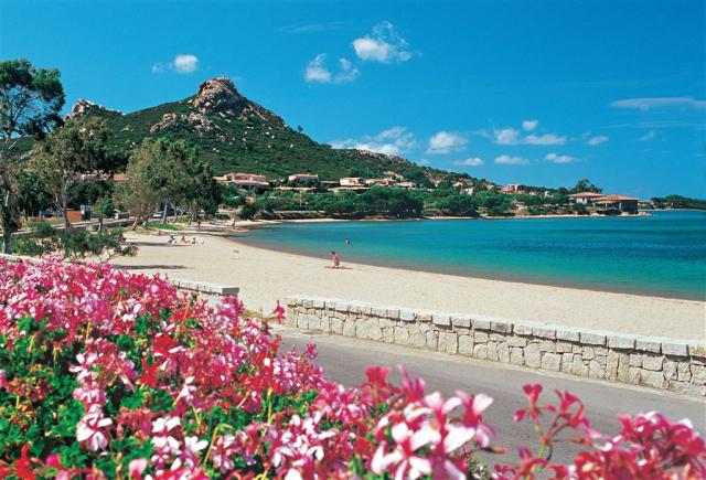 3_Falco_spiaggiaRGB.jpg