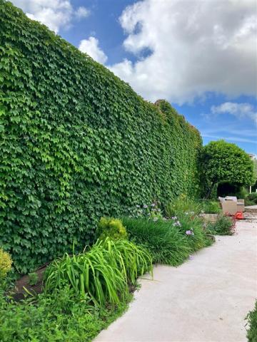Garden2 pontis.jpeg