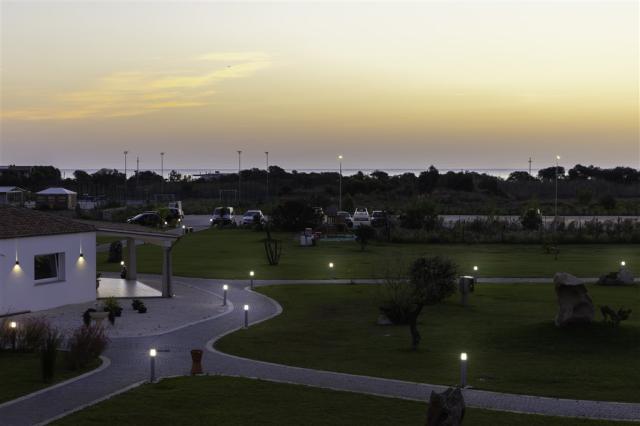 garden (10).jpg