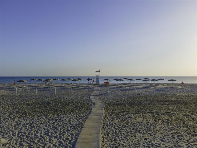 beach (13).jpg