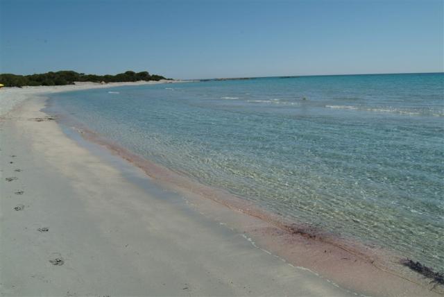 MARE  07.JPG