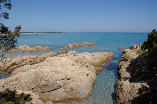 MARE  04.JPG