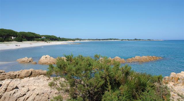 MARE  03.jpg