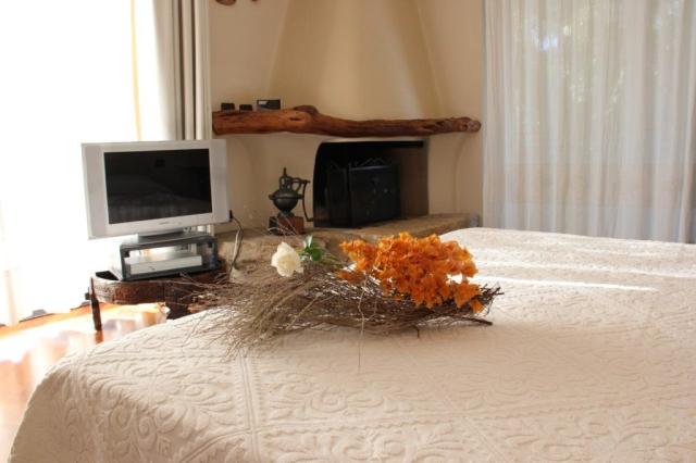 PLEASURE SUITE 2.jpg
