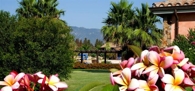 giardino - frangipani.jpg