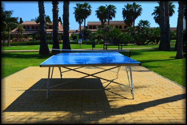 ping pong.jpg