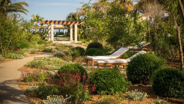 Giardino - 14 - 7M302816.jpg