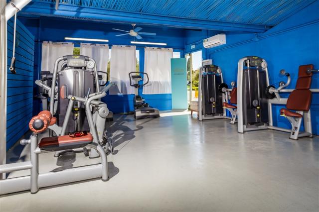 Palestra (2).jpg
