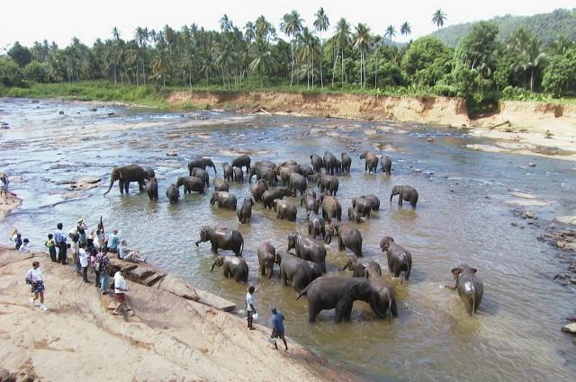 sri-lanka-289803_1920
