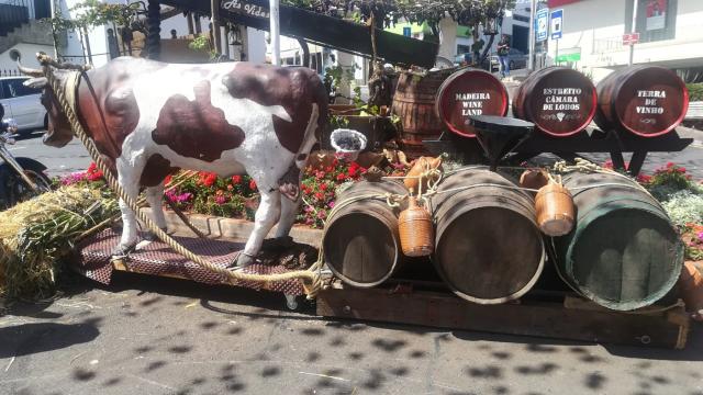 001145_Madeira_slavnosti_vina_2