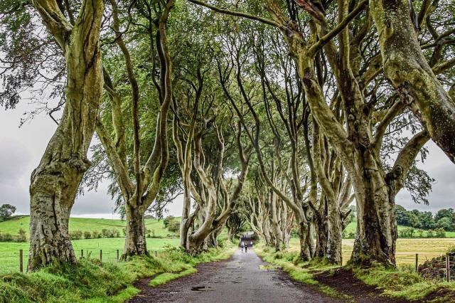ireland-5343918_1280(1)