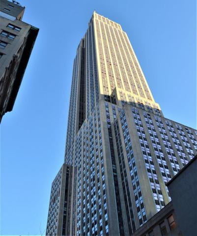 DSC5993