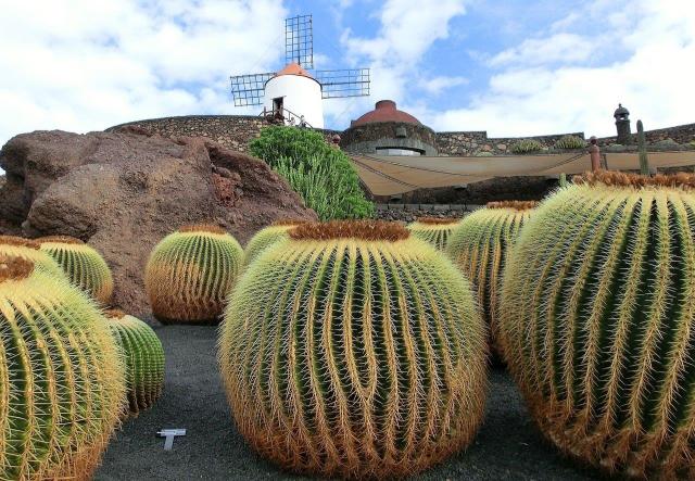 lanzarote-211043_1280