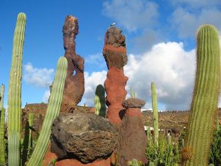 Barevné LANZAROTE, Fuerteventura a Graciosa
