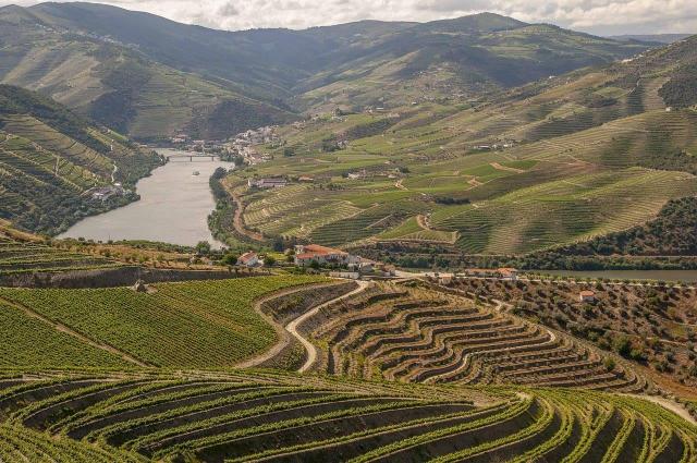 douro-4768654_1280