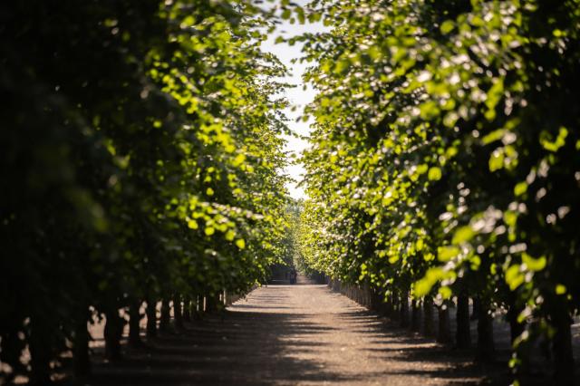 IMG-20250927-WA0002(1)