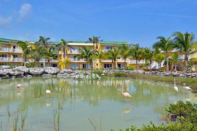 Havana / Cayo Coco