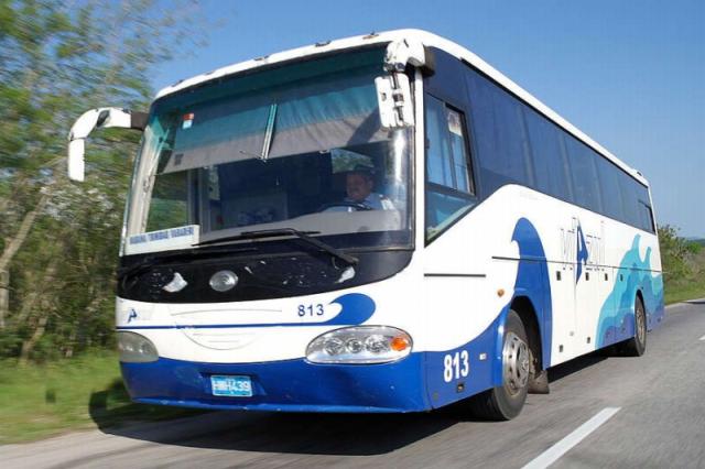 Bus 