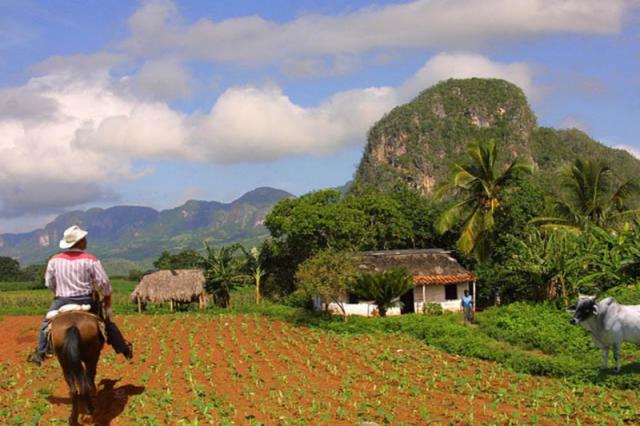 Vinales