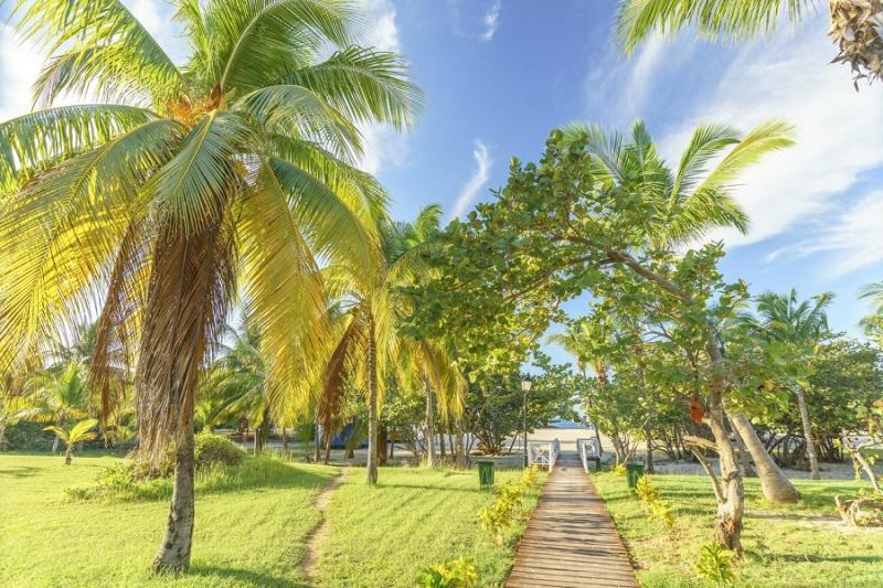 Copacabana 3* + Memories Trinidad Del Mar 4* + Meliá Las Antillas 4*
(Kombinace Havana + Trinidad + Varadero)