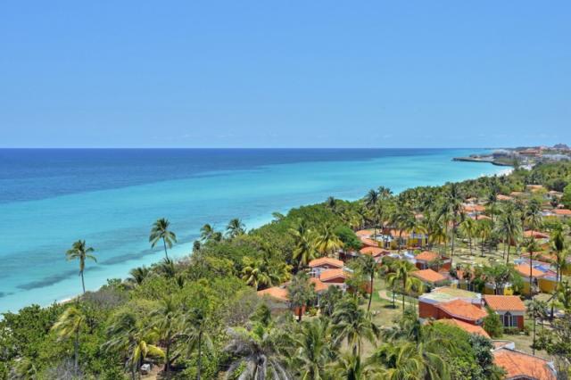 Sol Palmeras