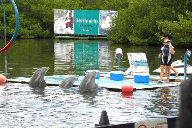 Varadero, Delfinarium