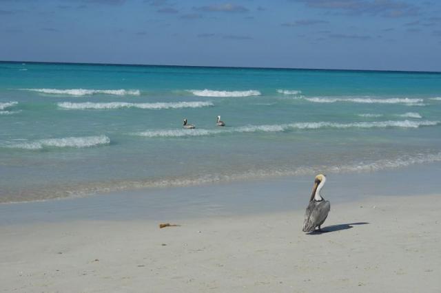 Sol Cayo Guillermo